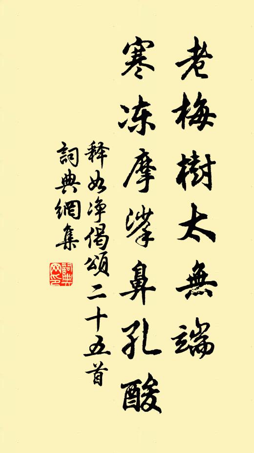 釋如淨老梅樹太無端,寒凍摩挲鼻孔酸書法作品欣賞