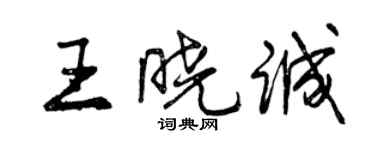 曾慶福王曉誠行書個性簽名怎么寫