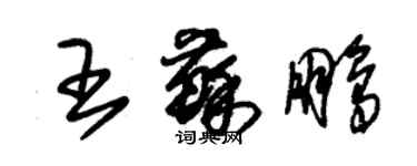 朱錫榮王蘇鵬草書個性簽名怎么寫