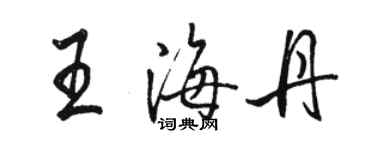 駱恆光王海丹行書個性簽名怎么寫