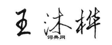 駱恆光王沐樺行書個性簽名怎么寫