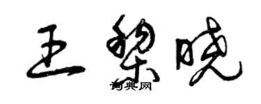 曾慶福王黎曉草書個性簽名怎么寫