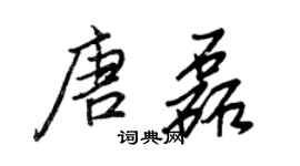 王正良唐磊行書個性簽名怎么寫