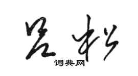 駱恆光呂松草書個性簽名怎么寫