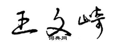 曾慶福王文崎草書個性簽名怎么寫