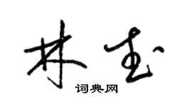 梁錦英林武草書個性簽名怎么寫