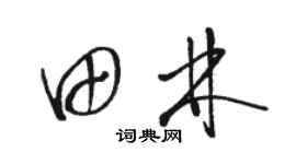 駱恆光田林草書個性簽名怎么寫