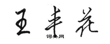 駱恆光王豐花行書個性簽名怎么寫