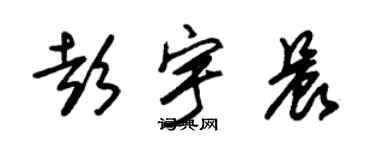 朱錫榮彭宇晨草書個性簽名怎么寫