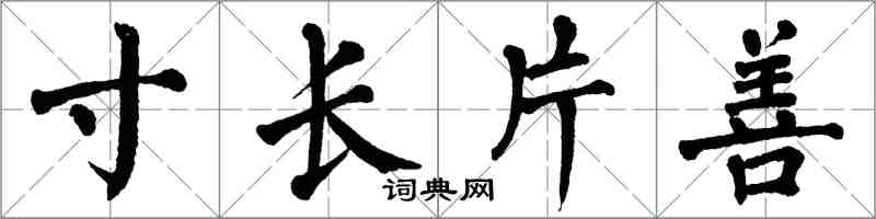 翁闓運寸長片善楷書怎么寫