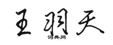 駱恆光王羽天行書個性簽名怎么寫