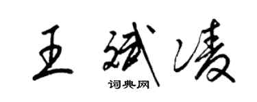 梁錦英王斌凌草書個性簽名怎么寫