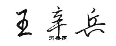 駱恆光王辛兵行書個性簽名怎么寫