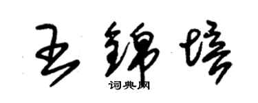 朱錫榮王錦培草書個性簽名怎么寫