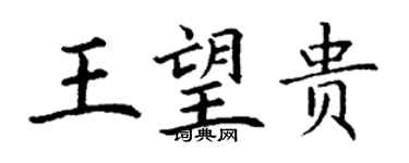 丁謙王望貴楷書個性簽名怎么寫