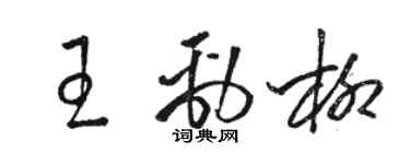 駱恆光王勁柳草書個性簽名怎么寫