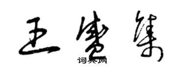 曾慶福王盛集草書個性簽名怎么寫