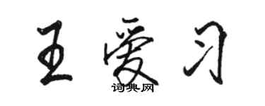 駱恆光王愛習行書個性簽名怎么寫