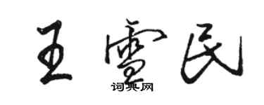 駱恆光王雪民行書個性簽名怎么寫