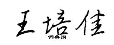 王正良王培佳行書個性簽名怎么寫