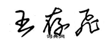 朱錫榮王存飛草書個性簽名怎么寫