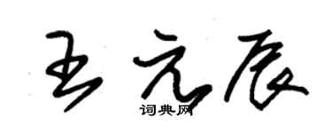 朱錫榮王元辰草書個性簽名怎么寫