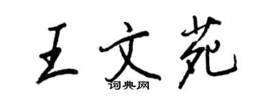 王正良王文苑行書個性簽名怎么寫
