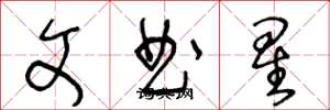 王冬齡文曲星草書怎么寫