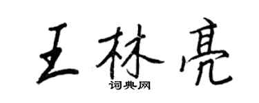王正良王林亮行書個性簽名怎么寫