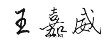 駱恆光王嘉威行書個性簽名怎么寫