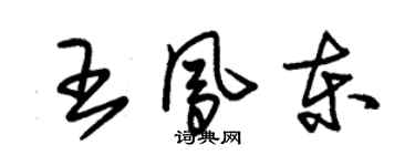 朱錫榮王鳳東草書個性簽名怎么寫