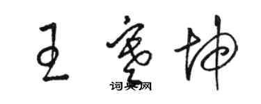 駱恆光王寒坤草書個性簽名怎么寫