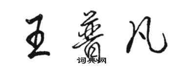 駱恆光王普凡行書個性簽名怎么寫