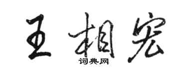 駱恆光王相宏行書個性簽名怎么寫