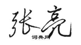 駱恆光張亮行書個性簽名怎么寫