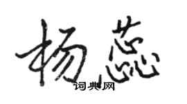 駱恆光楊蕊行書個性簽名怎么寫