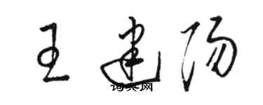 駱恆光王建陽草書個性簽名怎么寫