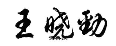 胡問遂王曉勁行書個性簽名怎么寫