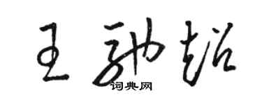 駱恆光王馳超草書個性簽名怎么寫