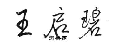 駱恆光王啟碧行書個性簽名怎么寫