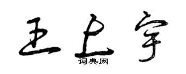 曾慶福王上宇草書個性簽名怎么寫