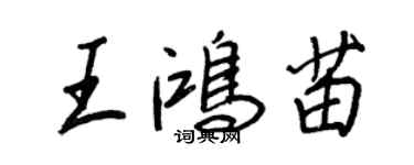 王正良王鴻苗行書個性簽名怎么寫