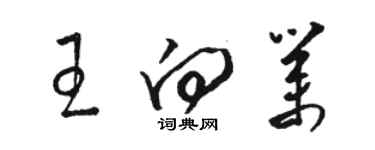 駱恆光王向業草書個性簽名怎么寫