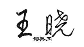 駱恆光王曉行書個性簽名怎么寫