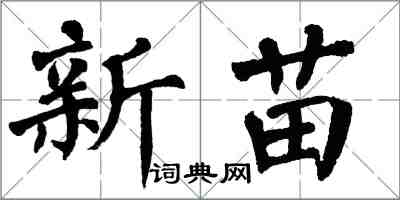 翁闓運新苗楷書怎么寫