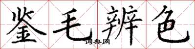 丁謙鑒毛辨色楷書怎么寫