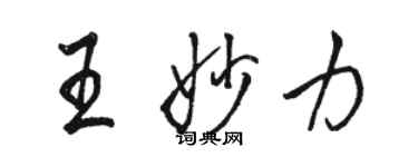 駱恆光王妙力行書個性簽名怎么寫