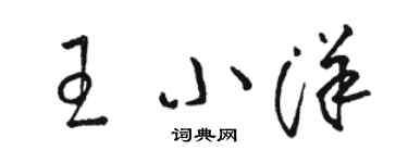 駱恆光王小洋草書個性簽名怎么寫