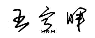 朱錫榮王寧暉草書個性簽名怎么寫