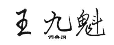 駱恆光王九魁行書個性簽名怎么寫